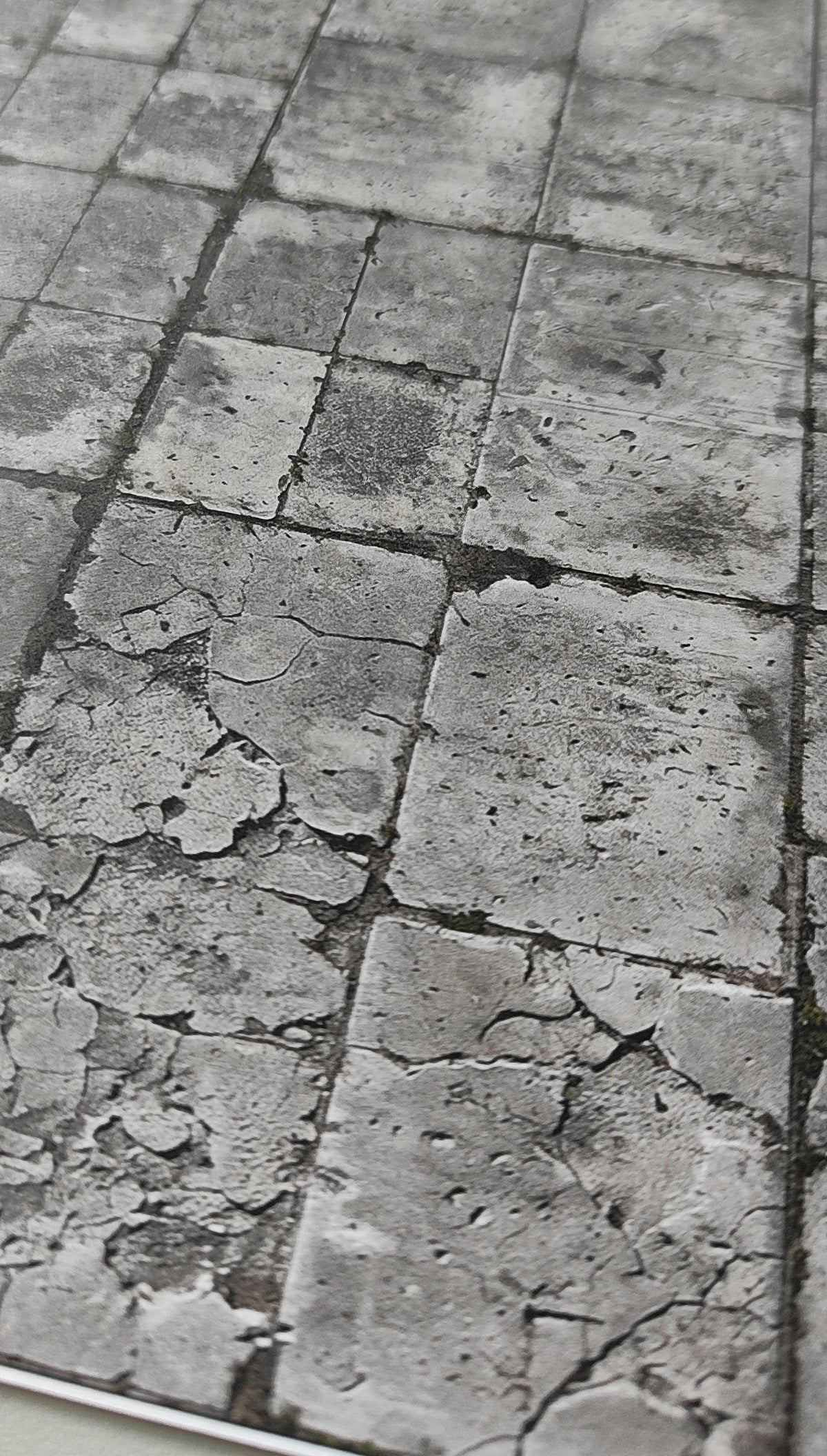 2er Set Dekorbögen verwitterter Betonplattenboden in Spur H0 | DB00000072